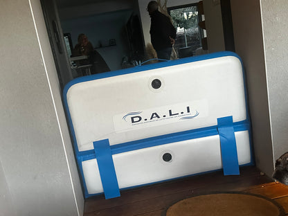 D.A.L.I - Tailles standards