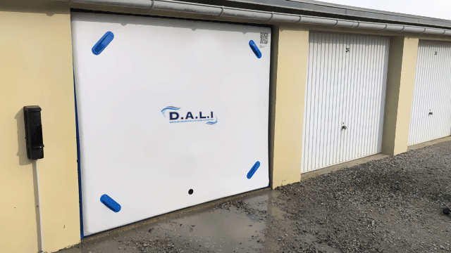 D.A.L.I - Tailles standards