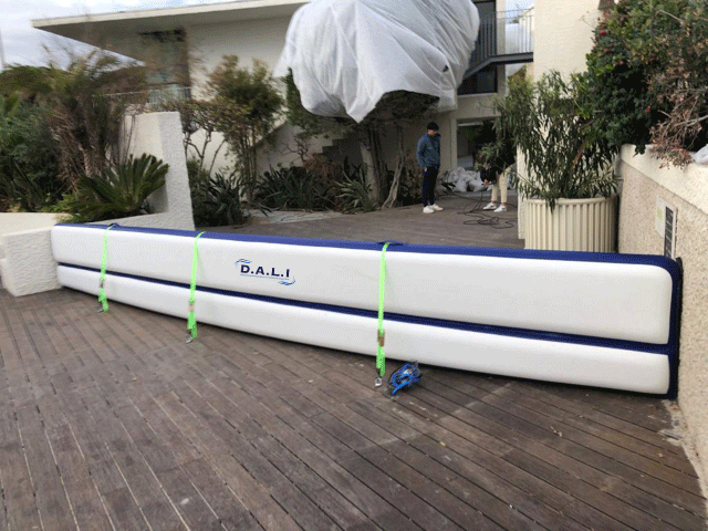 D.A.L.I - Tailles standards