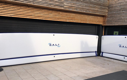 D.A.L.I - Tailles standards